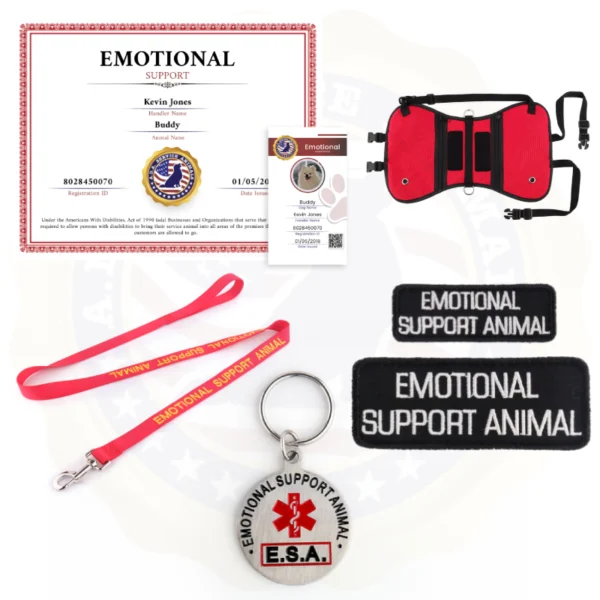 Standard Package – ESA